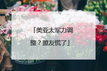 美亚太军力调整？盟友慌了